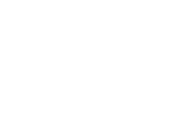 news and views from King